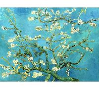liziciti Kit de peinture diamant 5D pour adultes, chefs-d'œuvre de Van Gogh, strass et broderie au point de croix, 30 x 40 cm (fleur d'amandier)