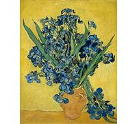 liziciti Kit de peinture diamant 5D pour adultes, chefs-d'œuvre de Van Gogh, strass et broderie au point de croix, 30 x 40 cm (iris violet dans une bouteille)
