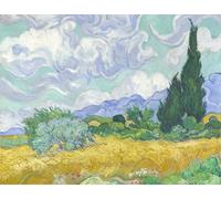 liziciti Kit de peinture diamant 5D pour adultes, chefs-d'œuvre de Van Gogh, strass, point de croix, 30 x 40 cm (champ de blé avec cyprès)