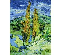 liziciti Kit de peinture diamant 5D Van Gogh pour adultes, 30 x 40 cm, kit d'art diamant complet sur toile, art à faire soi-même pour décoration murale (plante)
