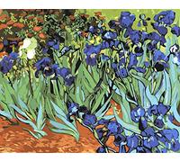 liziciti Kit de peinture par numéros sur toile pour adultes débutants Van Gogh, peintures célèbres à faire soi-même, peinture à l'huile acrylique, 40,6 x 50,8 cm (toile encadrée, iris)