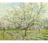 liziciti Kit de peinture par numéros sur toile pour adultes débutants Van Gogh, peintures célèbres à faire soi-même, peinture à l'huile acrylique, 40,6 x 50,8 cm (sans cadre, fleurs de pêcher)