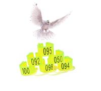 LJISEHG Anneaux à Clip d'identification en Plastique for Oiseaux, étiquettes de Pied de volaille for Poulets, Canards, cailles, cochons d'Inde et inséparables(Light Yellow,001-200)
