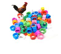 LJISEHG Anneaux numériques de Pattes d'oiseaux en Plastique, Bandes d'identification Rouges for Poulets, Pigeons, Canards et Dressage d'animaux de Compagnie(Mixed Color 101-200,25mm(0.98in))