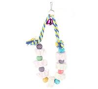 LjwZekyrnt Coloré Oiseau Bloc Jouets Perroquet Bec Meules Cages Bite Mâcher Formation Jouets