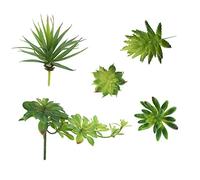LJY Assortiment de 5 plantes artificielles décoratives, petites plantes non potées