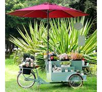 LJYKBFL Tricycle ambulant de Vente de Nourriture avec vitrine à Boissons et Parasol, remorque-Restaurant Portable pour collations et Boissons, idéale pour Les événements et Festivals en Plein air.