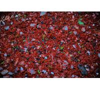 LK Baits IQ Method Mix Fruit 1,5kg