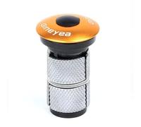 LKfjnhePF Directions VéLo Vélo Carbone Casques 28.6mm Bouchon supérieur vis clé extenseur Alliage d'aluminium 1 1/8 Pivot Prise VTT Fourche Route vélo Partie(Gold)