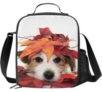 LKHVGY Fall Jack Russel Petit sac à déjeuner isotherme pour enfants avec porte-bouteille d'eau et bandoulière pour adolescents filles garçons
