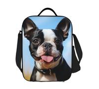 LKVNSWERT Sac à déjeuner isotherme pour homme et femme - Jolie boîte à déjeuner Boston Terrier - Anti-fuite - Pour le travail, les voyages en plein air