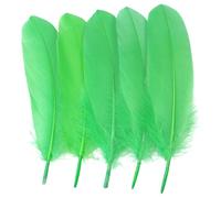 LKXHarleya 200PCS Plumes décoratives, Plumes d'oie Naturelles de 15 à 20 cm pour Loisirs créatifs, Attrape-rêves, Mariages, fêtes et décoration intérieure, Vert Pomme