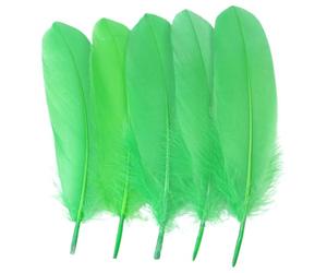 LKXHarleya 200PCS Plumes décoratives, Plumes d'oie Naturelles de 15 à 20 cm pour Loisirs créatifs, Attrape-rêves, Mariages, fêtes et décoration intérieure, Vert Pomme