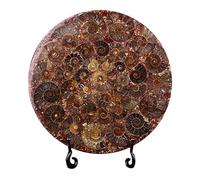 LKYLVEE Ammonite Naturelle fossile Disque Coquille Tranche Disque conque minéral spécimen Ornement avec Support,25cm,XL