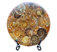 LKYLVEE Chrysanthemum en Pierre Jade fossile Ammonite Fossile Stone Spécimens Science des fossiles,Natural,11cm