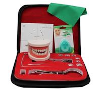 LKYLVEE Kit de Barrage en Caoutchouc endodontique Dentaire - Ensemble d'outils de Pratique de la Carte de poinçonnage de la Digue en Caoutchouc - pour l'enseignement des Sciences,D,25cm