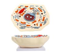 LKYLVEE Modèle de Cellule Animale Modèles microstructurels de cellules anatomiques pour l'étude Affichage de la température,Flesh,30cm