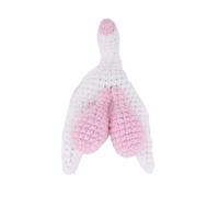 LKYLVEE Modèle de Clitoris Crochet - Modèle Anatomique du Clitoris Féminin - Clitoris 3D de Qualité Supérieure à des Fins Éducatives