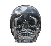 LKYLVEE Modèle de crâne Humain Grandeur Nature - modèle de crâne de Cristal modèle d'enseignement médical - pour la décoration de Bureau des Sciences de l'éducation,Clear,16cm