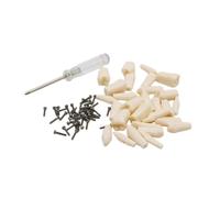 LKYLVEE Modèle de Dents typodont Amovibles 28/32 pour pratiquer Les Techniques restauratrices,28 pcs Teeth