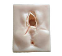 LKYLVEE Modèle de Formation à l'épisiotomie et à la réparation périnéale Modèle de Pratique de Suture périnéale avec Incision de la vulve féminine