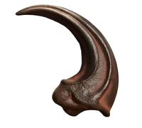 LKYLVEE Modèle de fossile de Griffe de Chilong, Dinosaure Taille réelle, réplique de Griffe de Raptor pour décoration de Maison ou de Bureau, Artisanat et Outil pédagogique,Marron,4inch