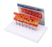 LKYLVEE Modèle de grossissement des vaisseaux sanguins Humains Modèle de Thrombus Modèle de Vaisseau sanguin Athérosclérose Modèle de Thrombus Humain,Seven Stage Vessels,20cm