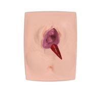 LKYLVEE Modèle de Pratique de Suture périnéale par Incision de la vulve féminine, simulateur d'entraînement à la Suture de la vulve, simulateur de Pratique