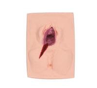 LKYLVEE Modèle de Pratique de Suture périnéale par Incision de la vulve féminine, simulateur d'entraînement à la Suture de la vulve, simulateur de Pratique