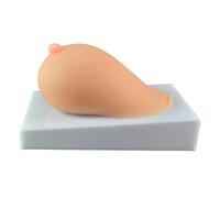 LKYLVEE Modèle de Sein en Silicone Modèle Anatomique de Sein en Silicone Souple pour Formation à l'allaitement Médecin Lactation Infirmier
