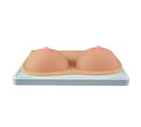 LKYLVEE Modèle de Sein en Silicone Modèle Anatomique de Sein en Silicone Souple pour Formation à l'allaitement Médecin Lactation Infirmier