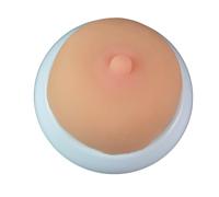 LKYLVEE Modèle de Sein en Silicone Modèle Anatomique de Sein en Silicone Souple pour Formation à l'allaitement Médecin Lactation Infirmier