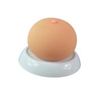 LKYLVEE Modèle de Sein en Silicone Modèle Anatomique de Sein en Silicone Souple pour Formation à l'allaitement Médecin Lactation Infirmier