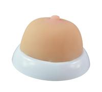 LKYLVEE Modèle de Sein en Silicone Modèle Anatomique de Sein en Silicone Souple pour Formation à l'allaitement Médecin Lactation Infirmier
