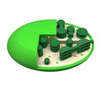 LKYLVEE Modèle de Structure de chloroplaste - Modèle de chloroplaste végétal agrandi - pour l'enseignement de la biologie Étude des Sciences et de l'éducation Équipement Outil,A,13cm