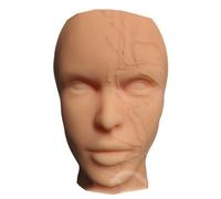 LKYLVEE Modèle de tête vasculaire squelettique squelettique cosmétique mineure Formation à l'injection Modèle de tête en Silicone pour la Formation à la Pratique médicale,Flesh,25cm