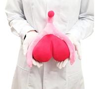 LKYLVEE Modèle d'enseignement de vulve en Velours, poupée en Tissu, modèle de Clitoris pour la santé des Femmes, Cadeau éducatif gynécologique,Rose,22cm