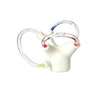 LKYLVEE Modèle d'otolithe du Canal Semi-Circulaire - Modèle d'oreille Interne pour la maladie des otolithes - Otolithose cochléaire et Outil d'entraînement vestibulaire des nerfs crâniens