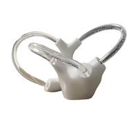 LKYLVEE Modèle d'Otolithe du Canal Semi-Circulaire - Modèle Dynamique d'Otolithe - Outil Pédagogique pour Étude et Présentation,Right,22cm