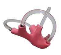 LKYLVEE Modèle Dynamique des canaux Semi-circulaires avec otolithes - Modèle pédagogique d'otolithose - Modèle de rééducation vestibulaire cochléaire,Left,22cm