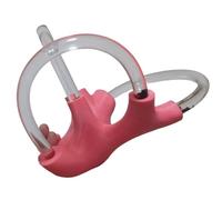 LKYLVEE Modèle Dynamique des canaux Semi-circulaires avec otolithes - Modèle pédagogique d'otolithose - Modèle de rééducation vestibulaire cochléaire,Right,22cm