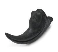 LKYLVEE Raptor Griffe fossile réplique - résine Dinosaure Avant Griffe réplique - Main Griffe Animal Squelette Recherche Science enseignement créatif Maison Collection,Noir,14cm