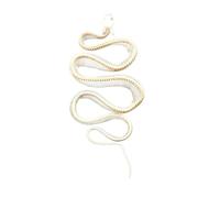 LKYLVEE Taxidermie Animaux Réels Squelettes de Serpent Crânes, Spécimen de Squelette de Serpent Complet, Fournitures de Taxidermie pour l'Éducation Scientifique, Cadeau Spécial,Blanc,70cm