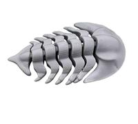 LKYLVEE Trilobite fossile Véritables fossiles Trilobite Ornements Miniatures Modèle d'anatomie imprimé en 3D pour la décoration de la Maison, du Bureau, du Jardin et du Bureau,Gris,11cm