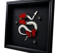 LKYLVEE Véritable Papillon dans Un Cadre en Verre Squelette de Serpent taxidermie pour Maison Bureau Art entomologique Gothique Unique