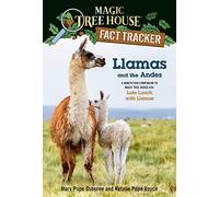 Llamas And The Andes