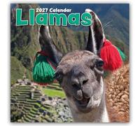 Llamas - Lamas 2027 - 16-Monatskalender: Original Gifted Stationery-Kalender [Mehrsprachig] [Kalender]