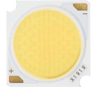 LLBOGRGGN 10PCS COB LED 20W Chip Lamp 1919mm Led Chip Bridgelux Powerfor Spotlight Floodlight Garden Square Integrat Coldwhite 6500k