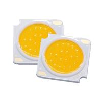 LLBOGRGGN 1pcs 3pcs 5pcs 10pcs LED Chip 10W 20W 30W DC30-33V Lighting Diode 1919mm Spotlight Track Light Accessories DIY(Warm White 3000K,10W 240-300mA 1pcs)