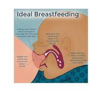 LLBOGRGGN Breastfeeding Information Poster Essential Tips for Nursing Moms Canvas Wall-Art Nursery Bedroom Decor Gift Idea(Unframed,16x24inch(40x60cm))